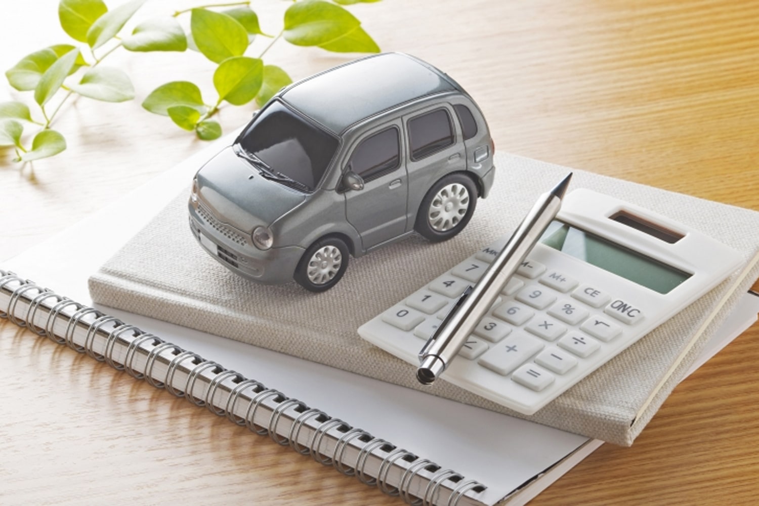 Can I get information about your car rental pricing policy?